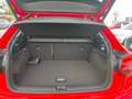 Audi Q2 30 TFSI admired Rot - thumbnail 11