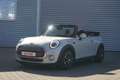 MINI Cooper Cabrio Aut. LED Navi Leder Plateado - thumbnail 2