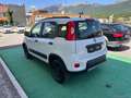 Fiat Panda 1.3 MJT 95 CV S&S 4x4 - 2017 Fehér - thumbnail 4