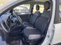 Fiat Panda 1.3 MJT 95 CV S&S 4x4 ELD - 2017 Blanco - thumbnail 14