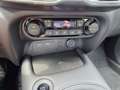 Nissan Juke 1.0 DIG-T 114PS N-Connecta Sitzheizung Lenkradh... Grau - thumbnail 20