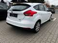 Ford Focus Trend Blanc - thumbnail 3