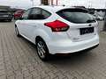 Ford Focus Trend Blanc - thumbnail 4