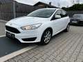 Ford Focus Trend Blanc - thumbnail 1