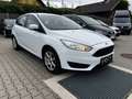 Ford Focus Trend Blanc - thumbnail 2