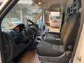 Fiat Ducato MH2 2.3 MJT 140 CV euro 6 d temp Blanc - thumbnail 6