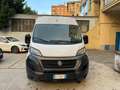 Fiat Ducato MH2 2.3 MJT 140 CV euro 6 d temp Blanc - thumbnail 1