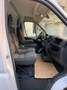 Fiat Ducato MH2 2.3 MJT 140 CV euro 6 d temp Blanc - thumbnail 5