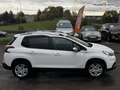 Peugeot 2008 1.2  essence 110ch Style - livraison france possible. Dès 137 €/mois Blanco - thumbnail 19