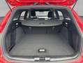 Ford Focus Turnier 1.0 EcoBoost Hybrid Aut. ST-LINE Rot - thumbnail 4