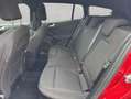 Ford Focus Turnier 1.0 EcoBoost Hybrid Aut. ST-LINE Rot - thumbnail 12