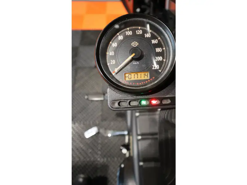 Harley-Davidson Chopper Iron - foto 4