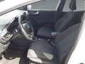 Ford Puma ST-Line Weiß - thumbnail 9