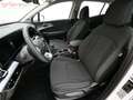 Kia Sportage /SILBER/UVO/1.6 CRDI 48V/DCT7/0/ Weiß - thumbnail 19