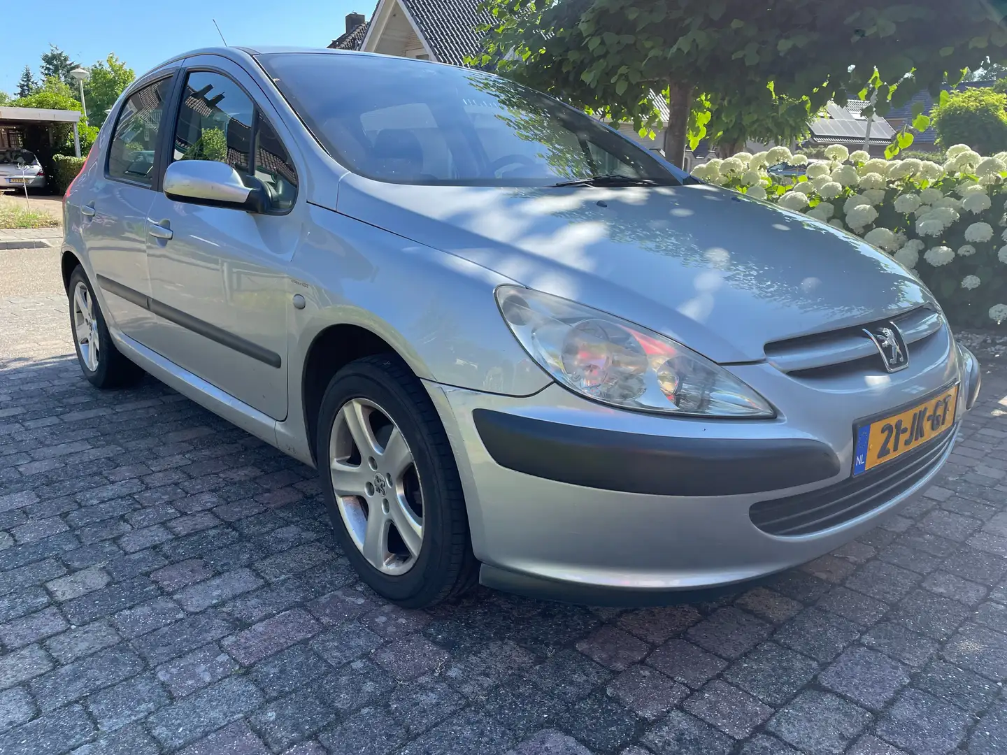 Peugeot 307 2.0-16V XS Grijs - 1