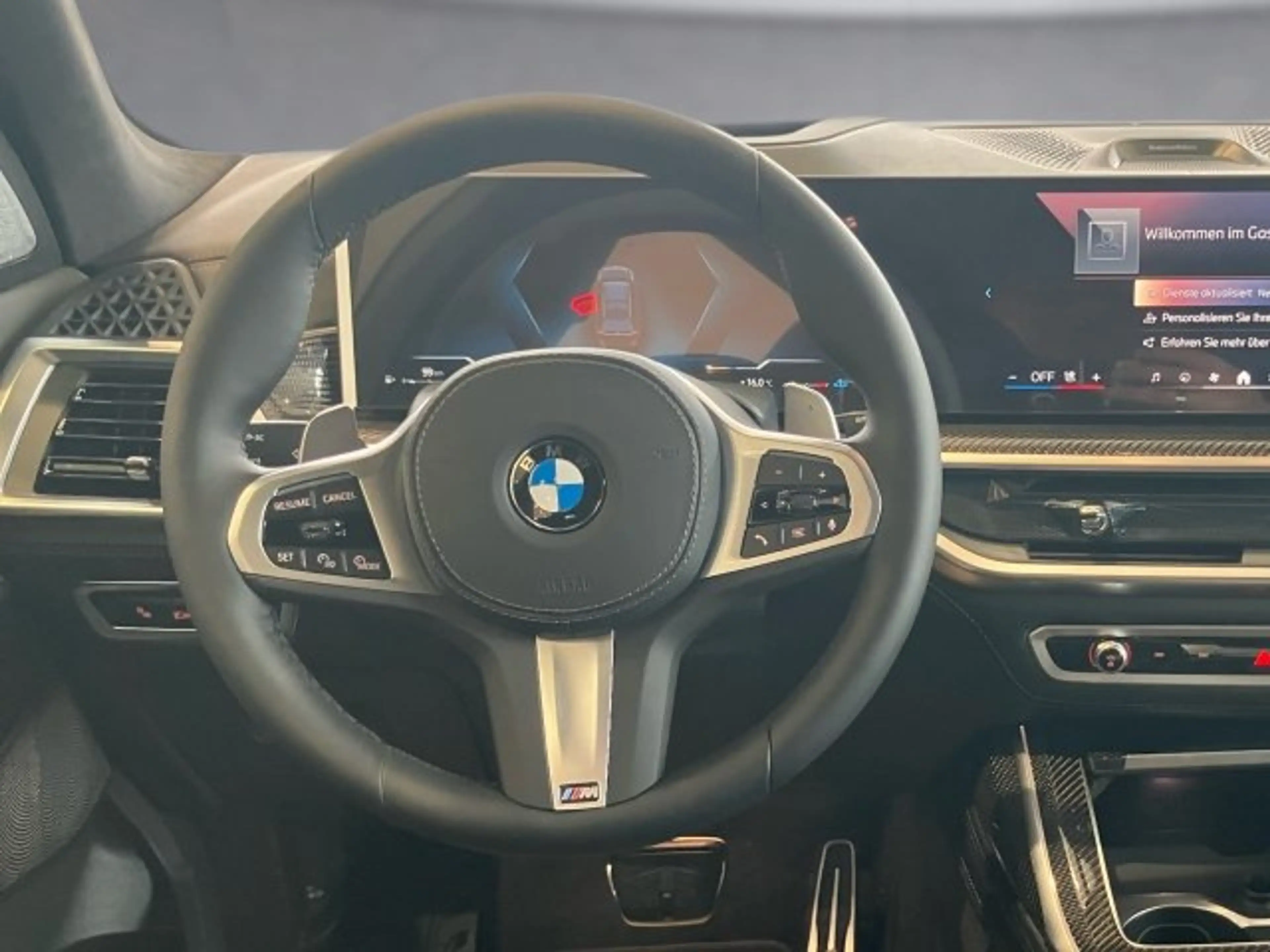 BMW X7 xDrive40d G07 B57 — photo 10