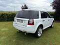 Land Rover Freelander Freelander SD4 Aut.HSE Alb - thumbnail 4