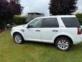 Land Rover Freelander Freelander SD4 Aut.HSE Alb - thumbnail 7