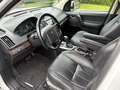 Land Rover Freelander Freelander SD4 Aut.HSE Alb - thumbnail 8