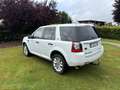 Land Rover Freelander Freelander SD4 Aut.HSE Alb - thumbnail 6