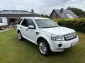 Land Rover Freelander Freelander SD4 Aut.HSE Alb - thumbnail 3