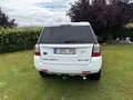 Land Rover Freelander Freelander SD4 Aut.HSE Alb - thumbnail 5