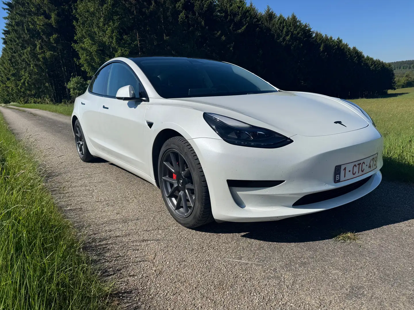 Tesla Model 3 Model 3 55 kWh Standard Plus Blanc - 2