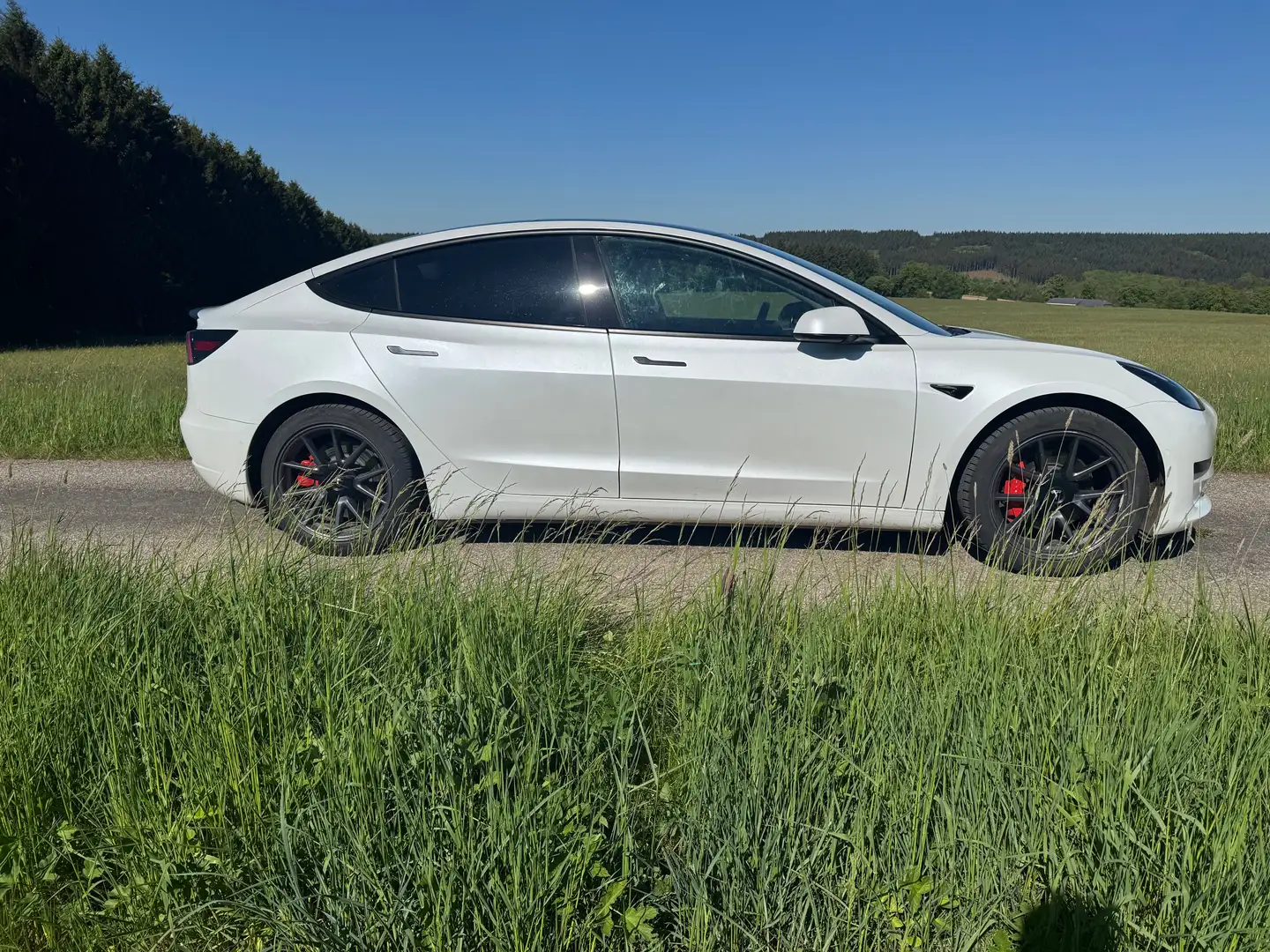 Tesla Model 3 Model 3 55 kWh Standard Plus Blanc - 1