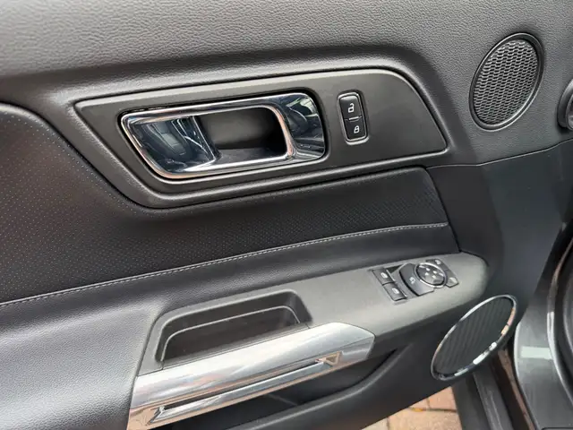 Ford Mustang view 15