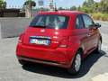 Fiat 500 1.0 hybrid Cult 70cv Uff Fiat Aziendale Rojo - thumbnail 9