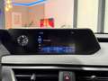 Lexus UX 300e Business 54 kWh Led Leder Memory Carplay Clima Cam Negro - thumbnail 36
