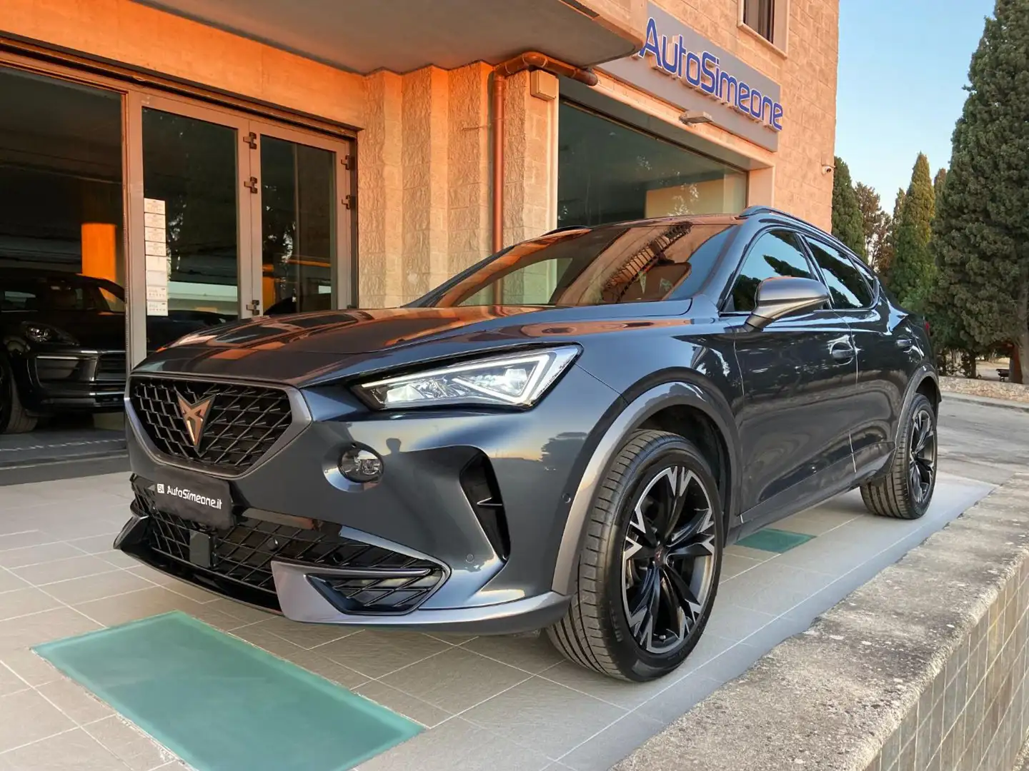 CUPRA Formentor 2.0 TDI 150 CV 4Drive DSG Grigio - 1