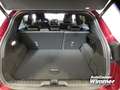 Ford Puma 1.0 EcoBoost Hybrid VIVID RUBY EDITION Rot - thumbnail 12