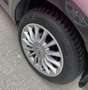 Alfa Romeo MiTo MiTo 1.3 jtdm Distinctive 85cv Grigio - thumbnail 12