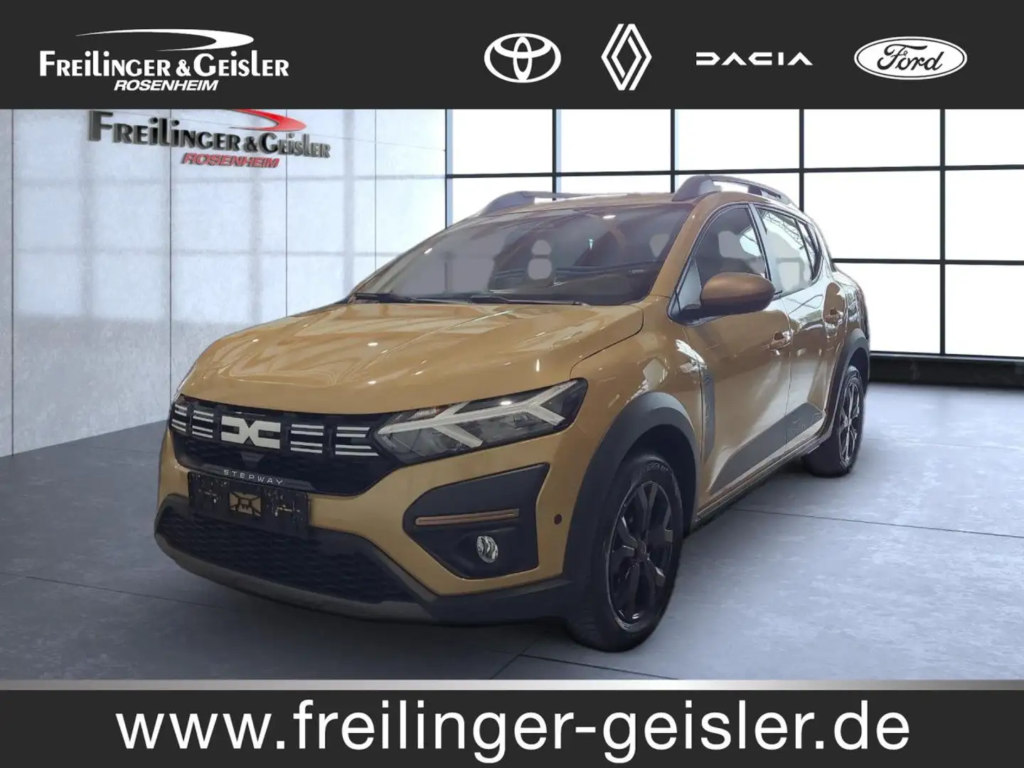 Dacia Sandero Stepway Expression LED Klima Einparkhilfe Beige - 1