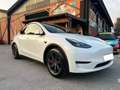 Tesla Model Y UNICOPROPRIETARIO - OTTIME CONDIZIONI Wit - thumbnail 2