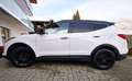 Hyundai SANTA FE Santa Fe 2,2 CRDi Style Aut. Style Weiß - thumbnail 8