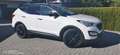 Hyundai SANTA FE Santa Fe 2,2 CRDi Style Aut. Style Weiß - thumbnail 2