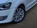 Volkswagen Polo Polo Highline 1,2 TSI DSG. | 103tkm | Sitzheizung Weiß - thumbnail 7