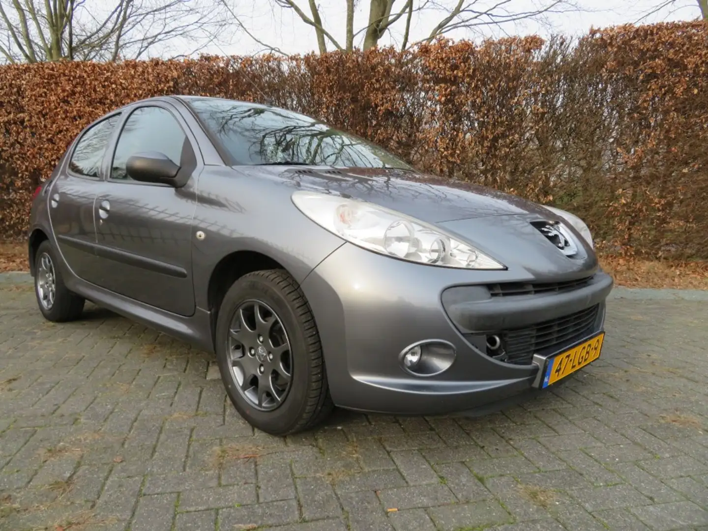 Peugeot 206 + plus 1.4 XS Grijs - 2