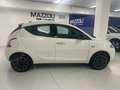 Lancia Ypsilon 1.0 firefly hybrid Oro S&S 5 posti Bianco - thumbnail 8