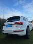 Audi Q5 Q5 2.0 TDI quattro Stronic, Sportmodel CARACTERE Blanc - thumbnail 5