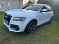 Audi Q5 Q5 2.0 TDI quattro Stronic, Sportmodel CARACTERE Blanc - thumbnail 3