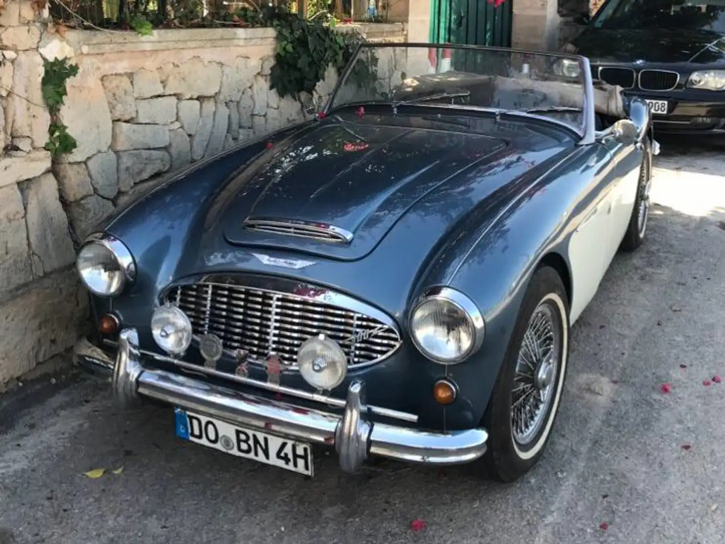 Austin-Healey 100 BN4 /100/6 Blau - 2