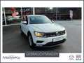 Volkswagen Tiguan Weiß - thumbnail 1