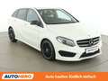 Mercedes-Benz B 200 B 200 CDI 4Matic AMG Line Aut. *LED*CAM*NAVI* Weiß - thumbnail 8