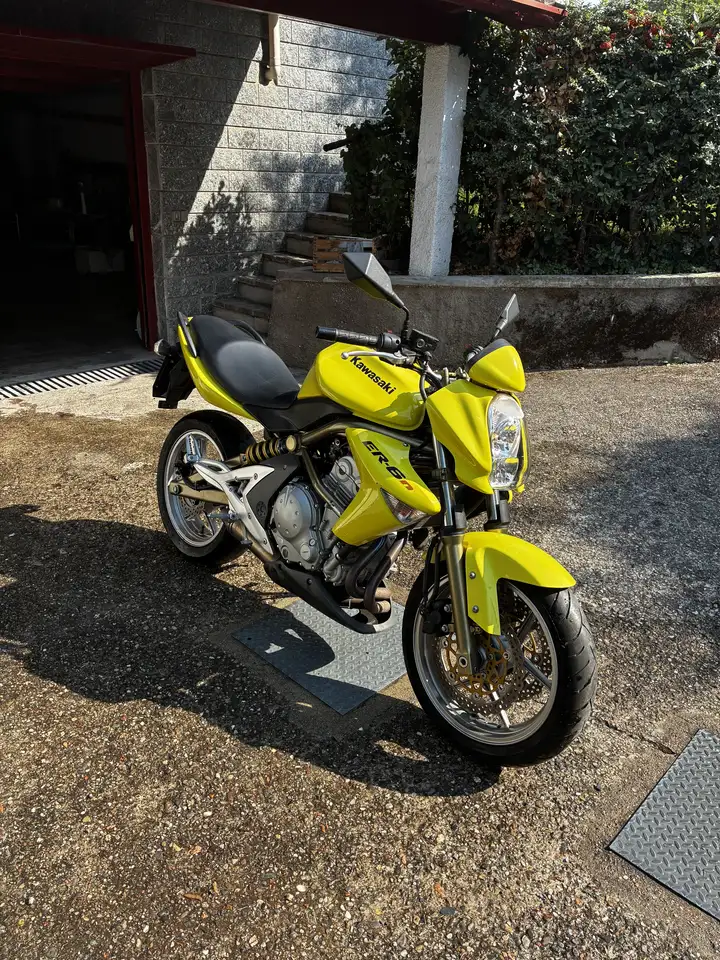 Kawasaki ER