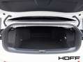 Volkswagen T-Roc Cabriolet 1.0 TSI Style LED Kamera Winterpaket All Weiß - thumbnail 11