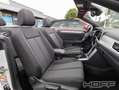 Volkswagen T-Roc Cabriolet 1.0 TSI Style LED Kamera Winterpaket All Weiß - thumbnail 9
