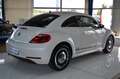 Volkswagen Beetle Lim. Cup KLIMAAUTO./ TEMPOMAT / PDC Blanc - thumbnail 4